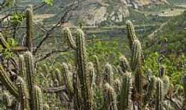 Santa Luzia - Serra do Talhado foto
Cacio Murilo.jpg