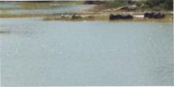 Serra da Raiz, Paraíba Brasil