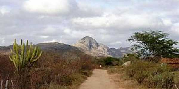 Pico Tapero -  Tapero - PB