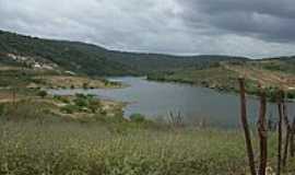 Umari - Barragem Jandaia-Foto:wellington Rocha Bez