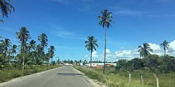 Barra do Sirinham-PE-Chegando na cidade pela Rodovia PE-061-Foto:Ded de Z Luca