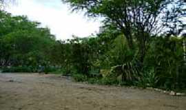 Belo Jardim - Parque do Bambu