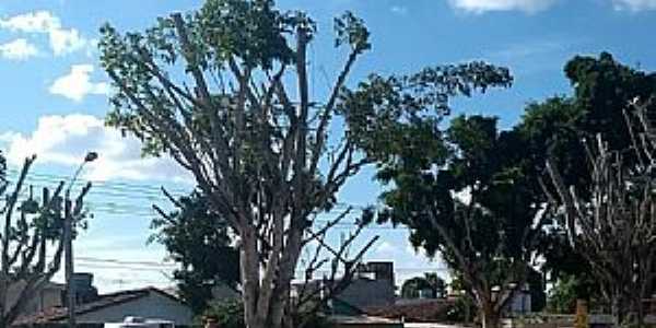 Imagens da cidade de Carpina- PE