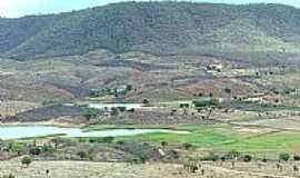 Cedro - Aude da Barrinha