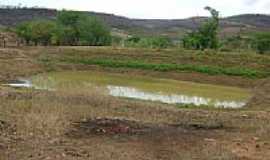 Cedro - Barragem de Pedro Ribeiro-Foto:cicero-padim