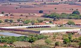 Cedro - Estdio Municipal  O Camilo