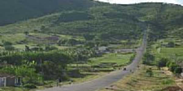 Belssima paisagem de estrada em Cedro-Foto:Magno Lima