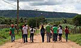 Feitoria - Estrada-Foto:Elio Rocha 