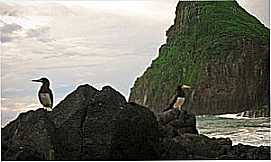 Fernando de Noronha - Fernando de Noronha - PE