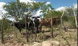 Groto - Groto-PE-Vida rural-Foto:Professor.Walber