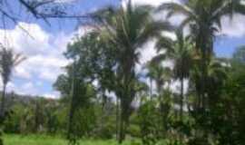 Cocos - Turismo rural - estrada do rio Itaguari , Por lande trindade