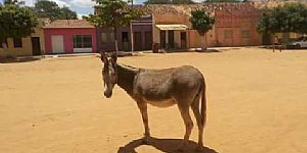 Imagens do Distrito de Moxot no Municpio de Inaj--PE