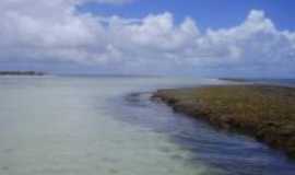 Ponta de Pedras - Coral de Pontas de Pedra, Por Rose