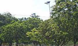 So Loureno da Mata - Avenida arborizada na entrada de So Loureno da Mata-PE-Foto:Ernani Neves