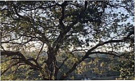 Solid�o - subida para o cruzeiro, Por maria weendy