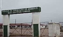 Surubim - Parque de Exposies de animais Sen.Antnio Farias em Surubim-Foto:Sergio Falcetti