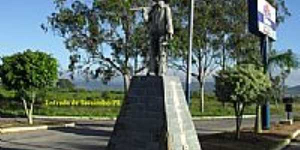 Monumento na entrada da cidade de Tacaimb-PE-Foto:WLuiz