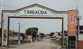 Timbaba - Timbaba-PE-Prtico de entrada da cidade-Foto:Sergio Falcetti