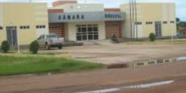 Cmara Municipal, Por Reginaldo Purificao
