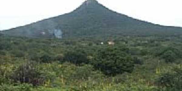 Morro dos Oitis,ponto mais alto de Dom Inocncio-Foto:raimundo campos