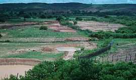 Joo Costa - Joo Costa-PI-Deserto Vermelho no perodo de chuva-Foto:Barraginhas