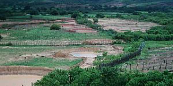 Joo Costa-PI-Deserto Vermelho no perodo de chuva-Foto:Barraginhas