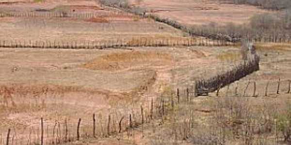 Joo Costa-PI-Deserto Vermelho no perodo de seca-Foto:Barraginhas