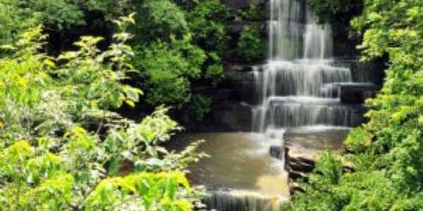 CACHOEIRA DO TINGIDOR, Por JONAS GOMES