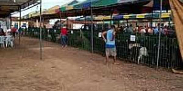 Feira de Caprinos -Foto:queimadanovananet