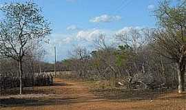 So Francisco de Assis do Piau - So Francisco de Assis do Piau-PI-Caatinga-Foto:www.portalaz.com.br