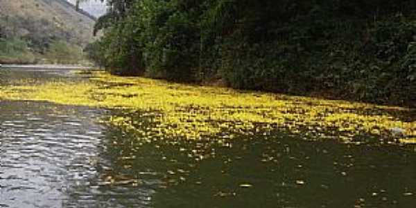 Rio Ribeira em Primavera em Adrianpolis - PR