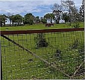 Fotos da cidade  de Alecrim - PR