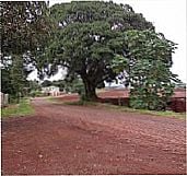 Fotos da cidade  de Alecrim - PR