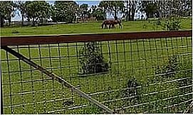 Alecrim - Fotos da cidade  de Alecrim - PR