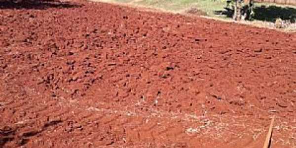 Imagens do Municpio de Anahy - PR	 
