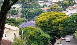 Apucarana - Apucarana-PR-Centro da cidade florido-Foto:Aluisio Ribeiro 2