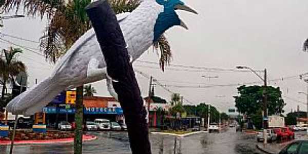 Imagens da cidade de Arapongas - PR