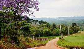 Araucria - rea Rural de Araucria