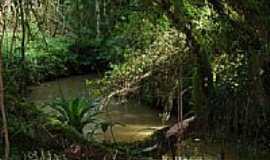 Areia Branca dos Assis - Ribeiro-Foto:rodrigo dittmar