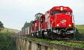 Balsa Nova - Trem na Ponte dos Arcos em Balsa Nova-PR-Foto:Luiz H. Bassetti