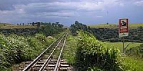 Ferrovia em Balsa Nova-PR-Foto:decio marques