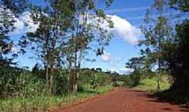 Bela Vista do Piquiri - Estrada para Bela Vista do Piquiri-Foto:Claudenir Lourenato