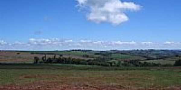 Vista da regio de Bela Vista do Piquiri-Foto:Claudenir Lourenato