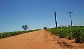 Bernardelli - Chegando em  Bernardelli-Foto:Edival de Souza