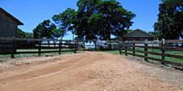 Fazenda em  Bernardelli-Foto:Edival de Souza