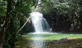 Formosa do Rio Preto - Cachoeira do Rio do Ouro em Formosa do Rio Preto-BA-Foto:Jos Maria de S