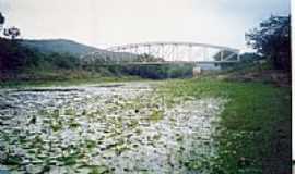 Frana - Aguaps e a Ponte sobre o Rio Jacupe em Frana-BA-Foto:Ant. Carias Frascol