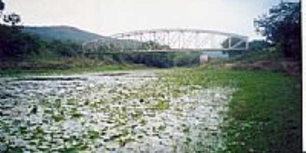 Aguaps e a Ponte sobre o Rio Jacupe em Frana-BA-Foto:Ant. Carias Frascol