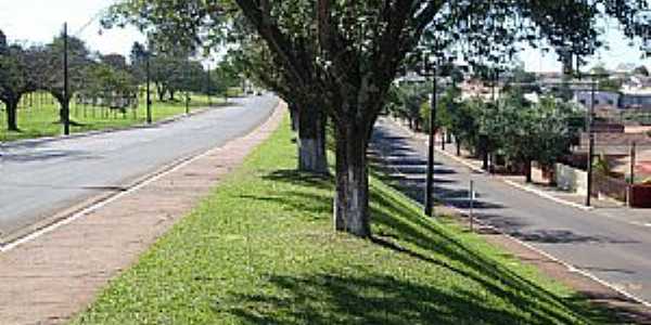 Camb-PR - Av. Roberto Conceio Benedito da Costa