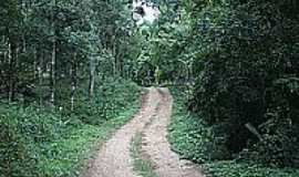 Campo Magro - Rural